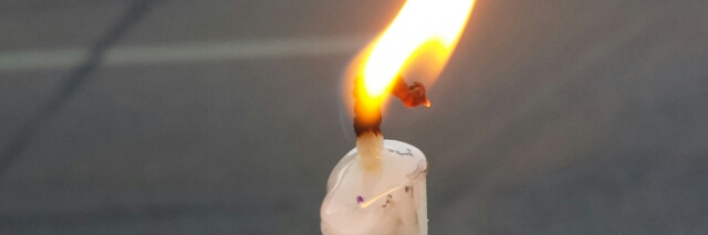 Cover image for post Where have you gone?, by Zappy99