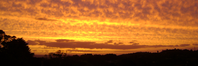 Cover image for post Love a Duck, by Turakina