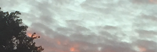 Cover image for post A Conscious Melee, by Akite