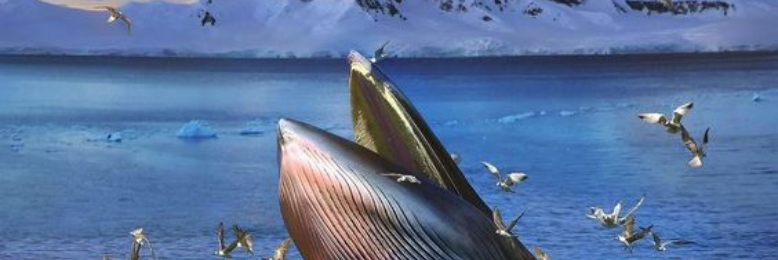 Cover image for post Could we have a word?, by DavidMark