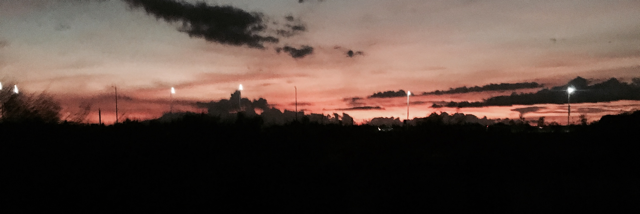 Cover image for post P.R.O.S.E., by EanBlack