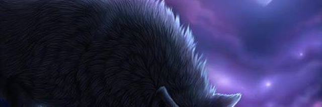 Cover image for post The joys of solitude, by happyhomemaker5