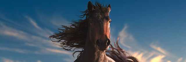 Cover image for post DAZED, by James