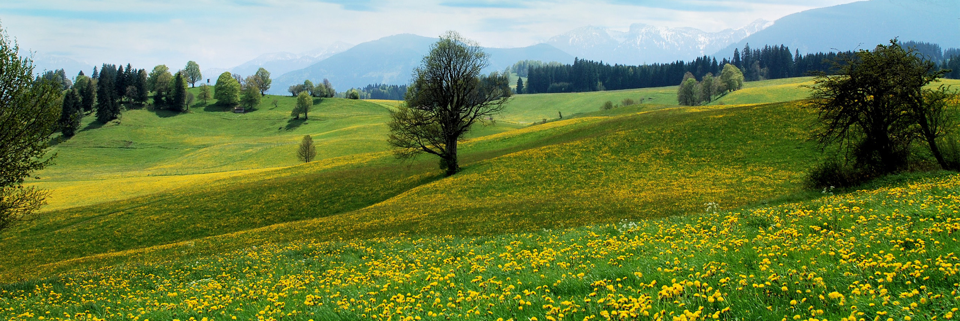 Cover image for post Listen, by Jani