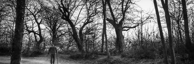 Cover image for post Where is My Mind?, by Aethers