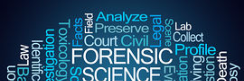 Cover image for post Whodunit?, by nfaulk6