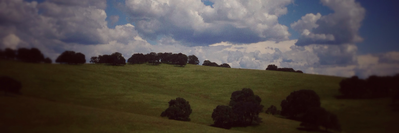 Cover image for post Slaughterhouse 8, by DougWinter