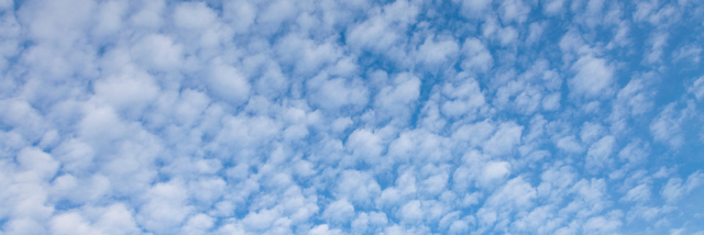 Cover image for post Untitled, by dwayne