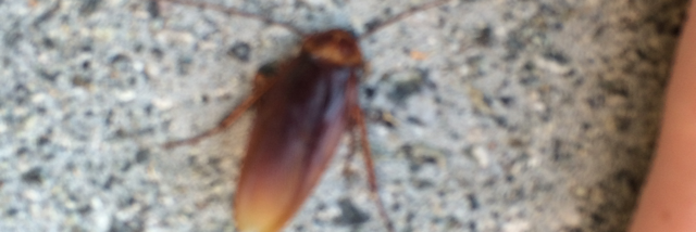 Cover image for post Oh wait...., by JK