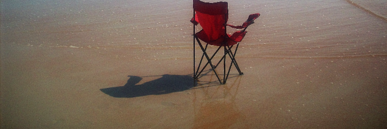 Cover image for post Silence Canopy, by sandflea68