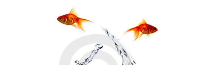 Cover image for post *Separate Ways*, by Stacy13