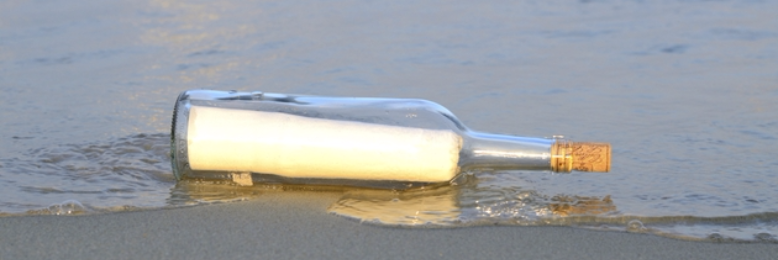 Cover image for post Every bottle, by Teodora