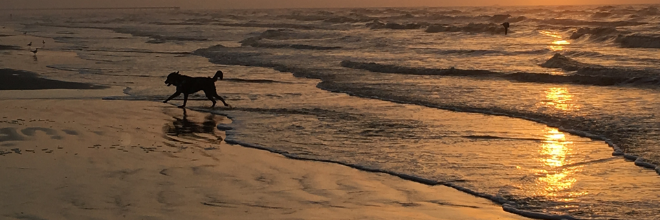 Cover image for post Someday, by Autumnpath