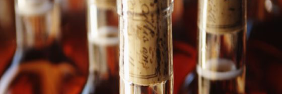 Cover image for post Wine, by Vyxyn