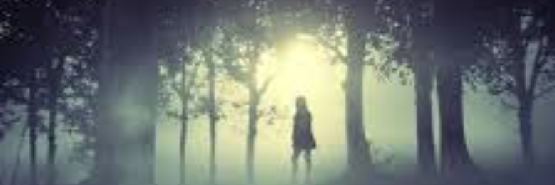 Cover image for post A dream, by CelticPrincess