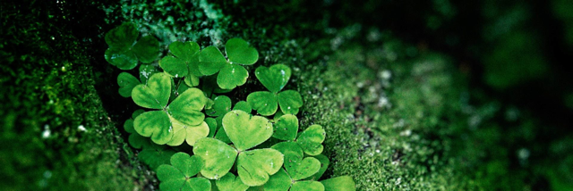 Cover image for post Rebels, by DavidMark