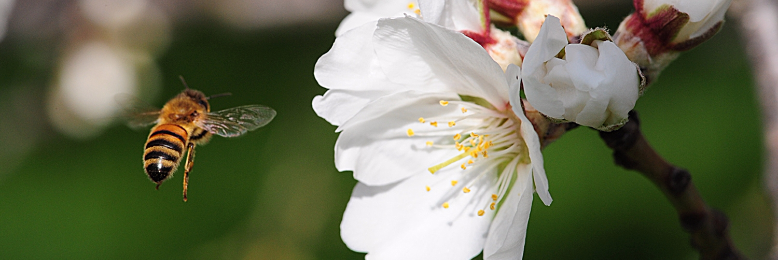 Cover image for post Chemical Residue, by LouRocky