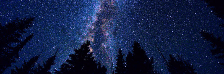 Cover image for post Untitled, by elizapearl