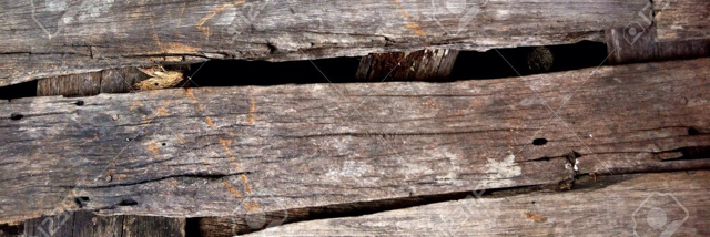 Cover image for post Underneath Floorboards, by LillyZ