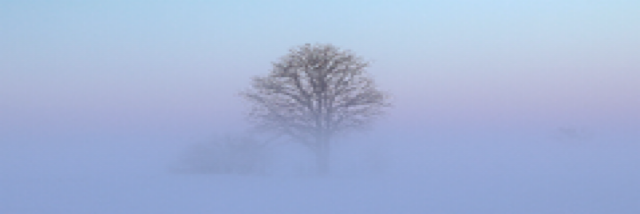 Cover image for post The Fog , by AngelRigali