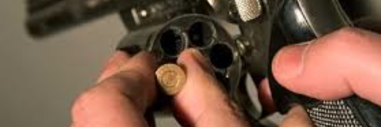 Cover image for post Gambling, by Bachmayer