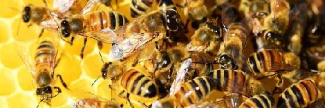 Cover image for post She Pleads, by LillyZ