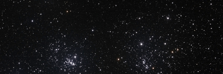 Cover image for post Children of the Night, by KayleighDamita