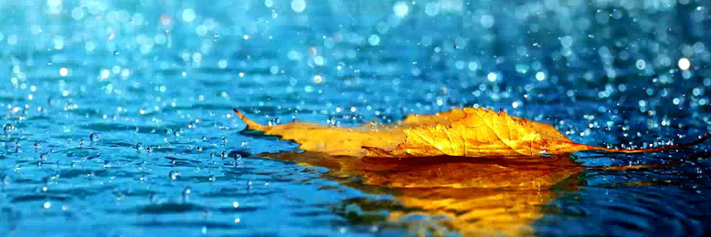 Cover image for post Rain of Happiness, by iwonder