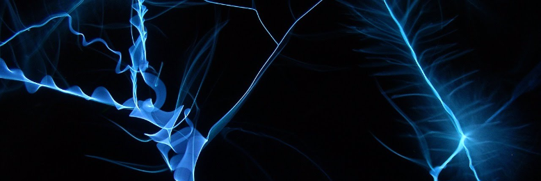 Cover image for post Transcendent, by nfaulk6