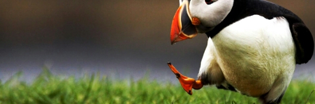 Cover image for post Music Only I Can Hear, by SharonBell