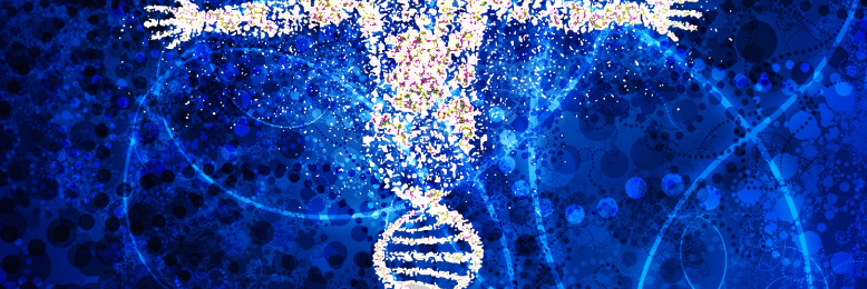 Cover image for post Savory Symphony, by A