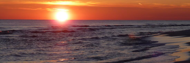 Cover image for post Parent, by DMMosley