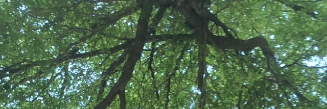 Cover image for post I deserved better, by isaa_polo