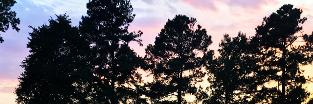 Cover image for post Who am I?, by Dom25