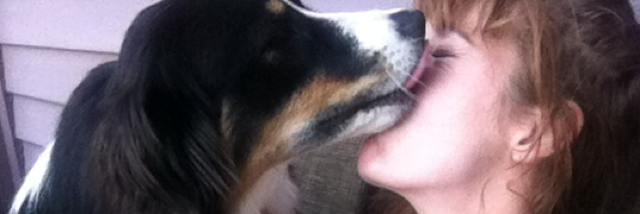 Cover image for post Beorn's Paw, by SarahRose