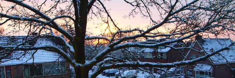 Cover image for post Chance, by nfaulk6