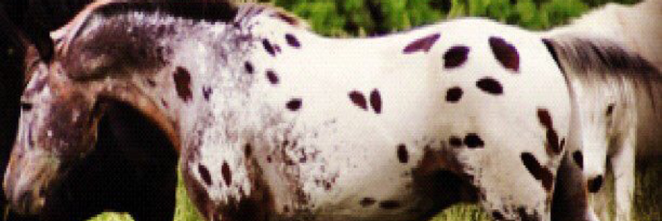 Cover image for post Untitled, by Vyxyn