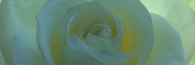 Cover image for post June 17, by Rachel