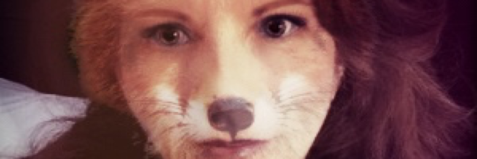 Cover image for post The Fox, by Vyxyn