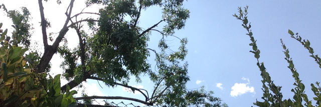 Cover image for post One Word, by yasminemeshel