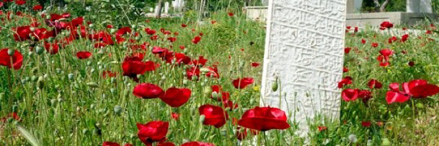 Cover image for post Equally alone, by DavidMark