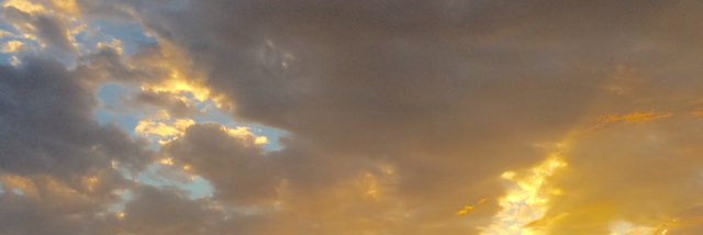 Cover image for post What I am is, by DMMosley