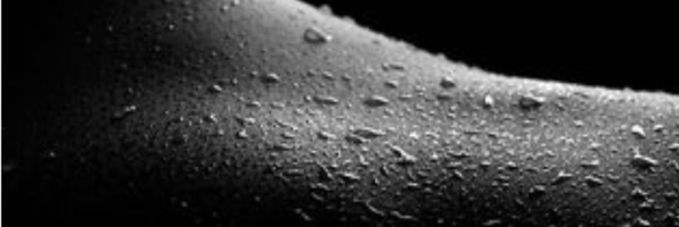 Cover image for post Salty, by Erin