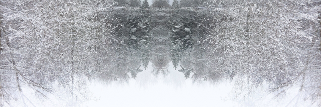 Cover image for post Broken Promises, by yikici