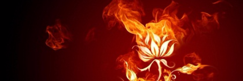 Cover image for post Shades, by RowRow1990