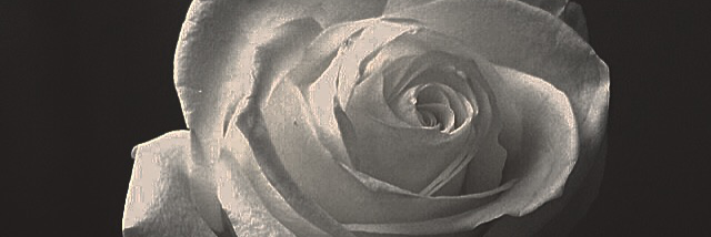 Cover image for post He, by Blahblahgirl16