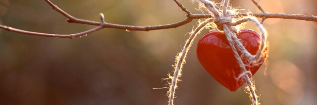 Cover image for post Left Behind, by Idreamofmenory