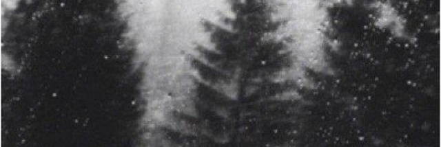 Cover image for post I'm Fine, by RossanaDelila