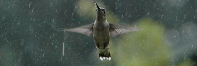 Cover image for post We are Real, by RossanaDelila