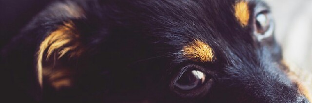 Cover image for post Pain ?, by Keerthana